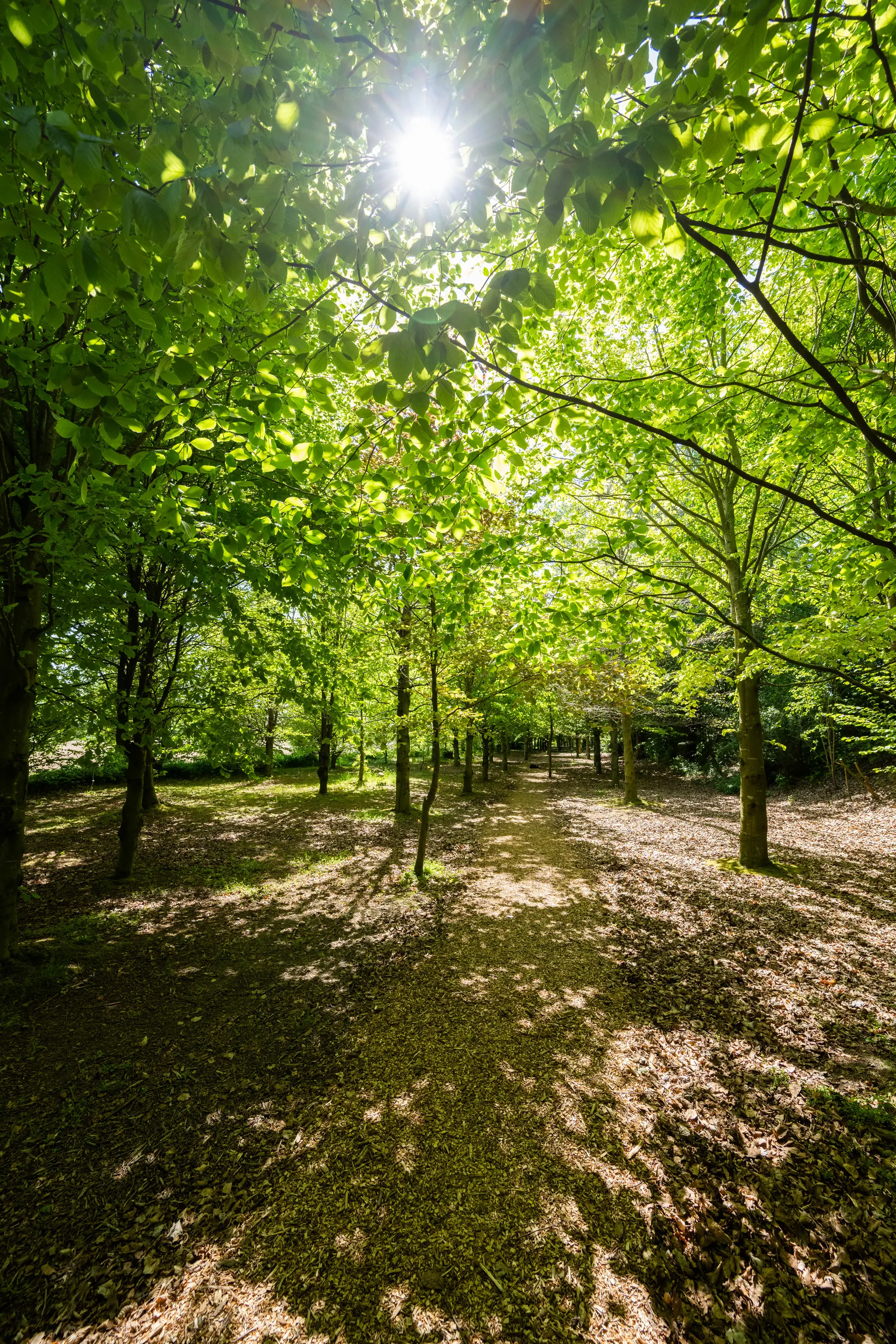 Rondwandeling Ulestraten
