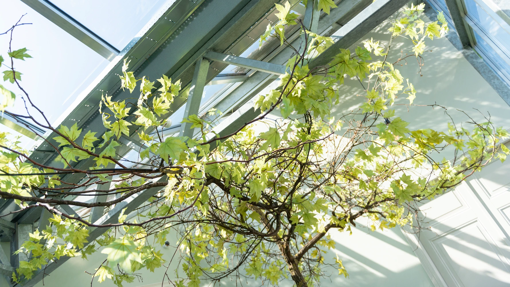 Aanvoelen wat nodig is