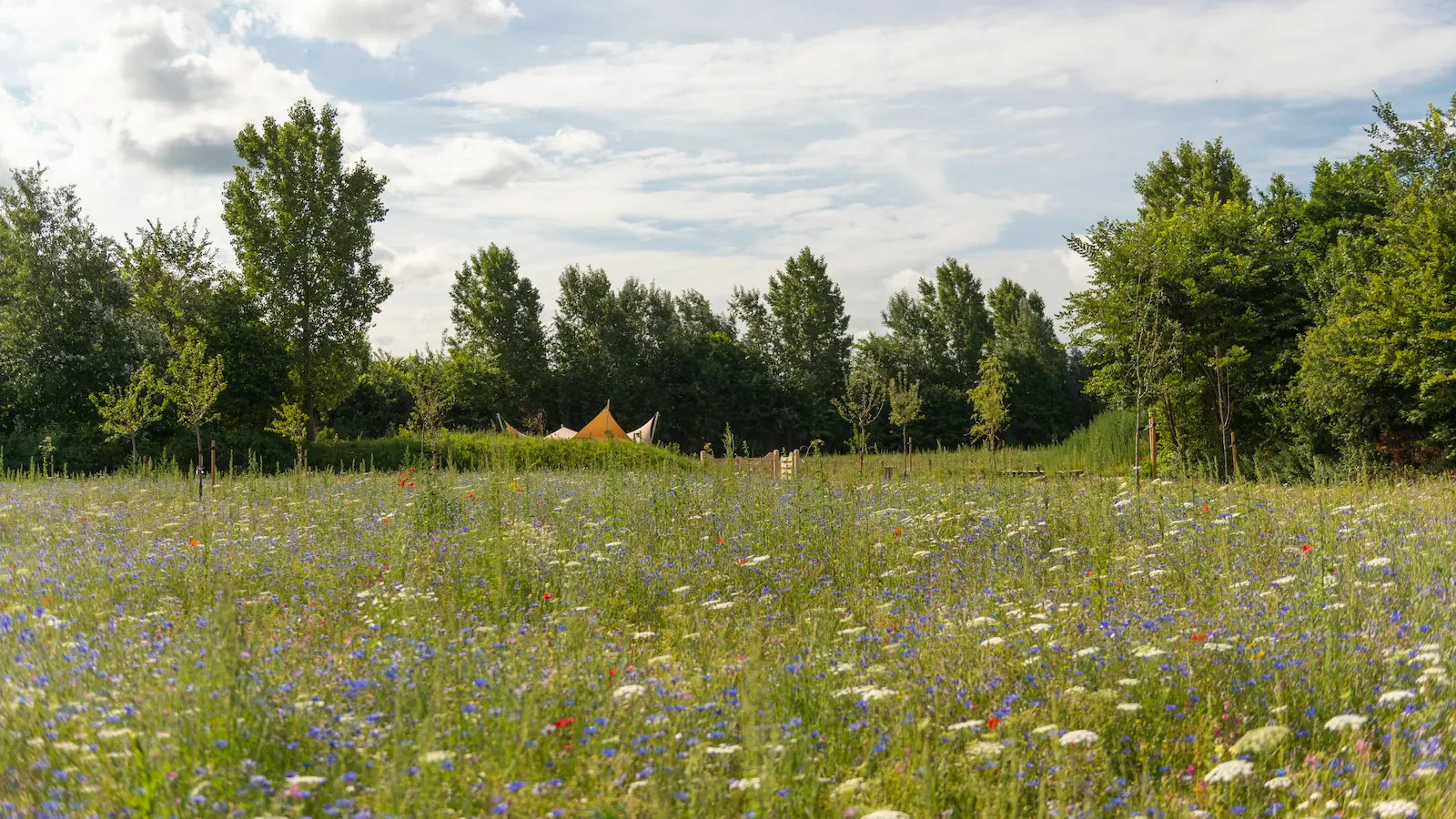 Wandel mee en ontdek het najaar