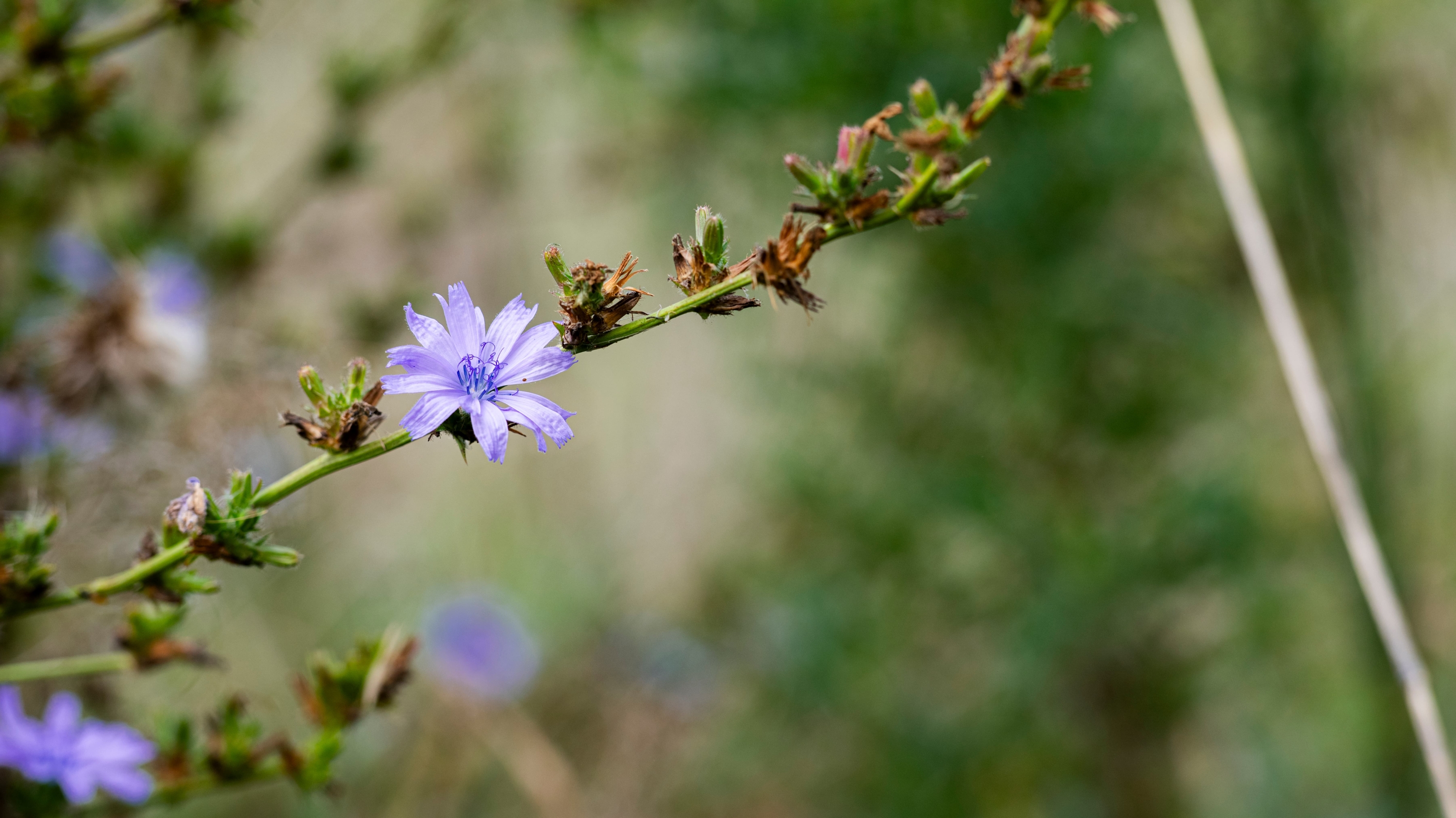 De kracht van tijd en ruimte 